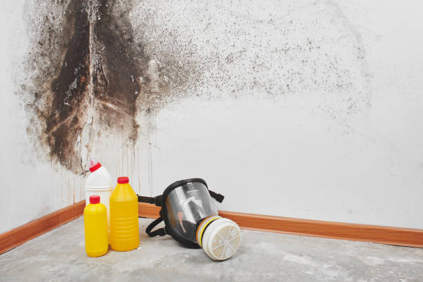 Best HVAC Mold Remediation in Grantsburg, WI