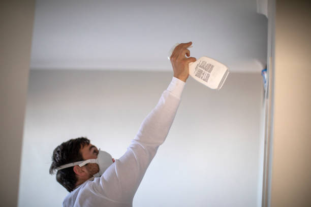 Best Post-Remediation Services in Grantsburg, WI