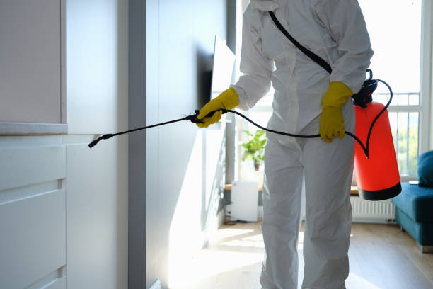 Best Preventive Mold Services in Grantsburg, WI